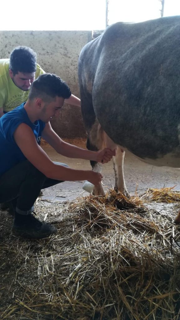 alternanza-scuola-lavoro-firenze-macerata-3-578x1024