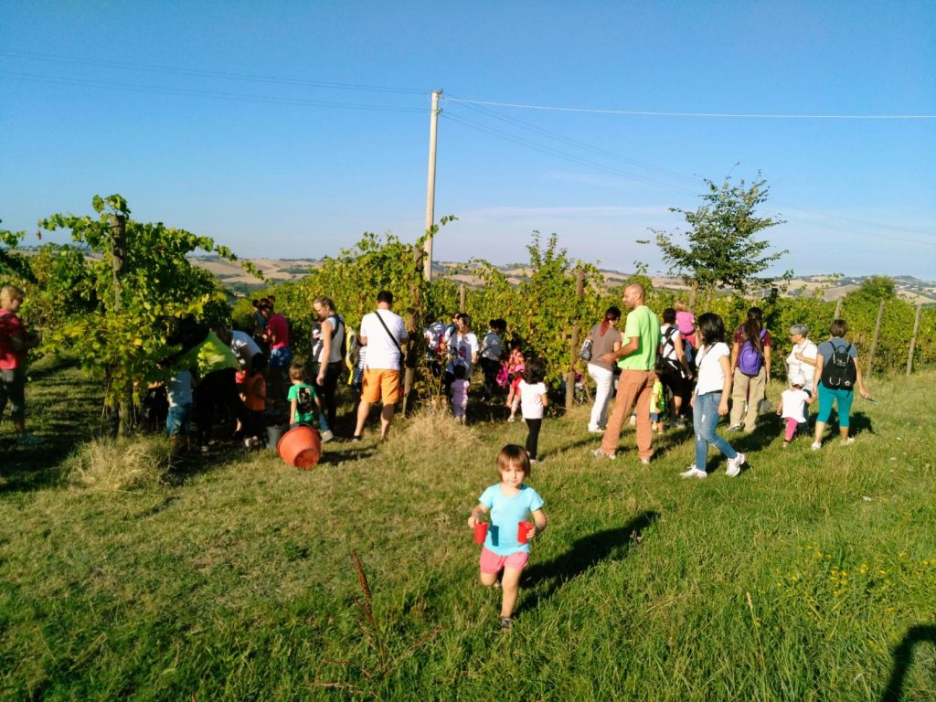 vendemmia_genitorifigli-2-1024x768