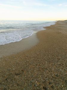 mare_autunno_genitori_figli_per_mano_onlus-5-225x300