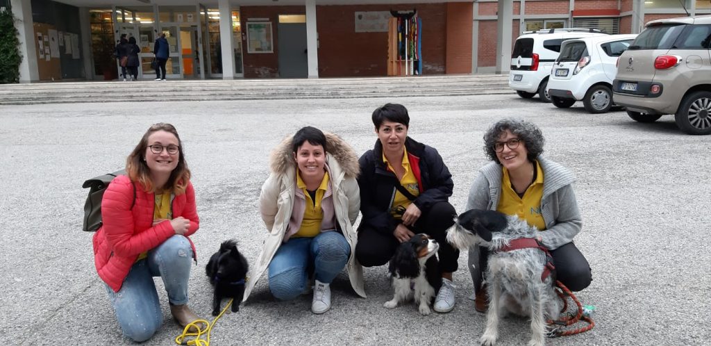 pet_therapy_associazione_noa-3-1024x498