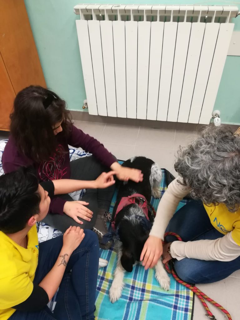 pet_therapy_associazione_noa-6-768x1024