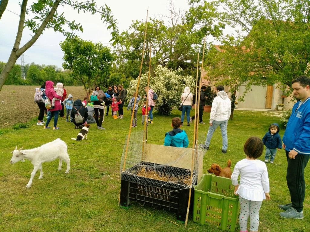 FATTORIA_PRIMAVERA-2-1024x768