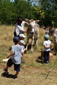 open-day-agrinido-8-200x300