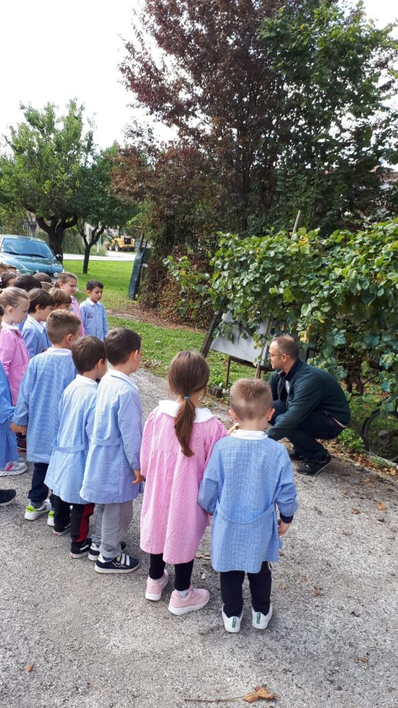 vendemmia-scuola-dell’infanzia-istituto-Mattei-Matelica-1-576x1024