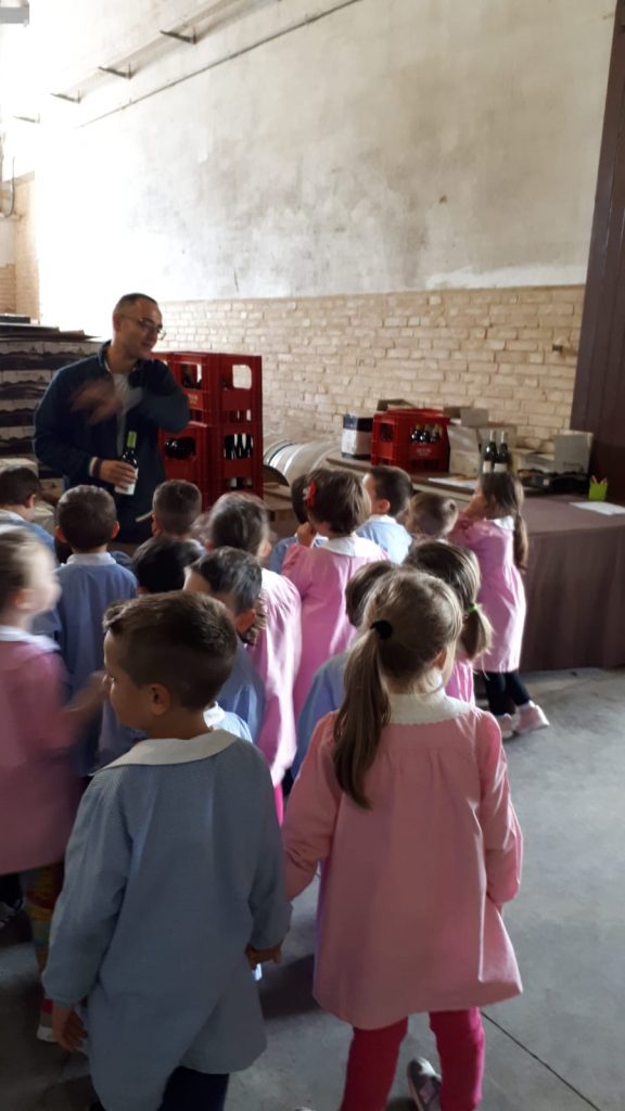 vendemmia-scuola-dell’infanzia-istituto-Mattei-Matelica-5-576x1024