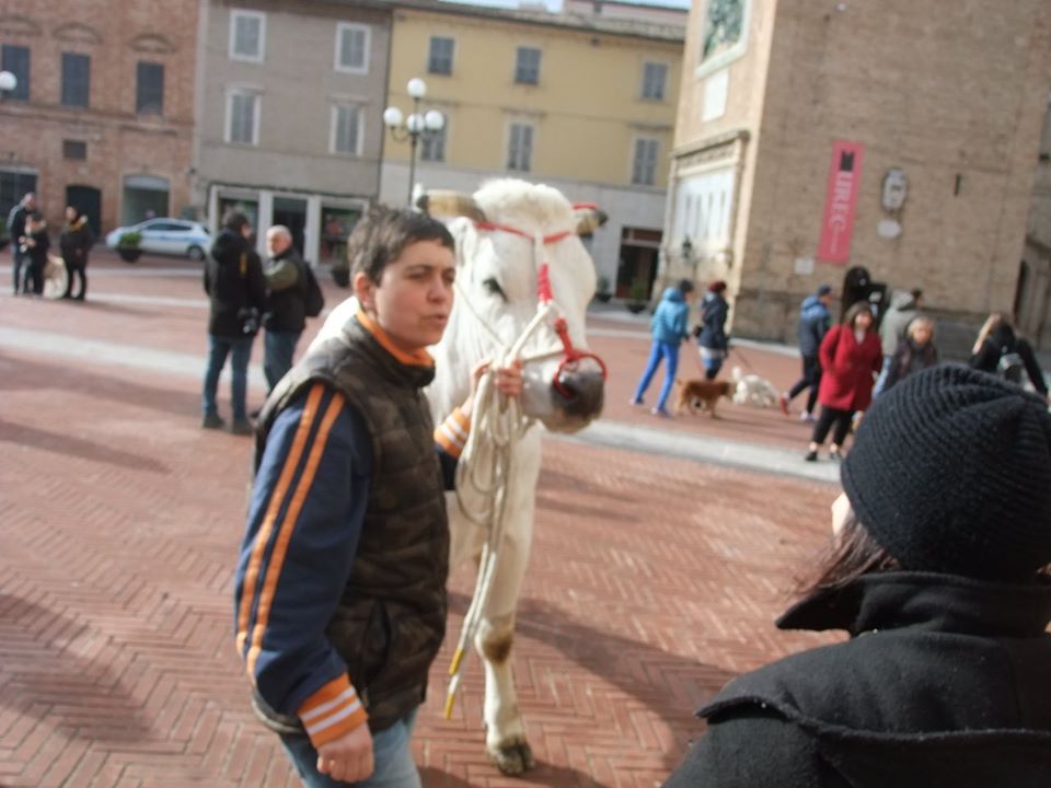 benedizione-animali-per-santantonio-recanati-13