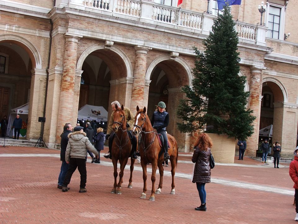 benedizione-animali-per-santantonio-recanati-4