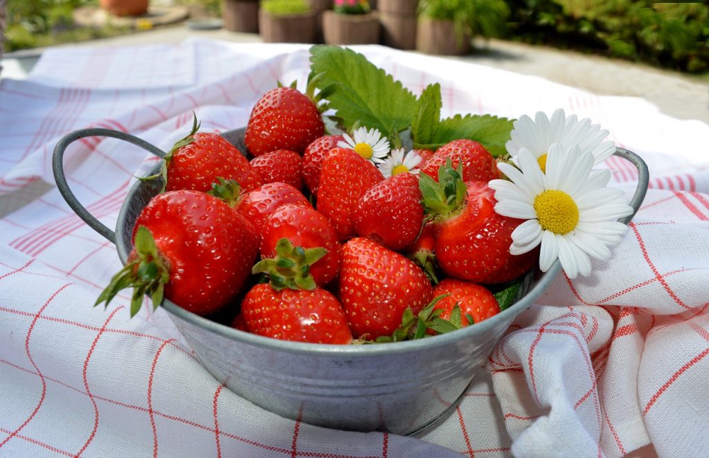 Una fragola contro l'obesità